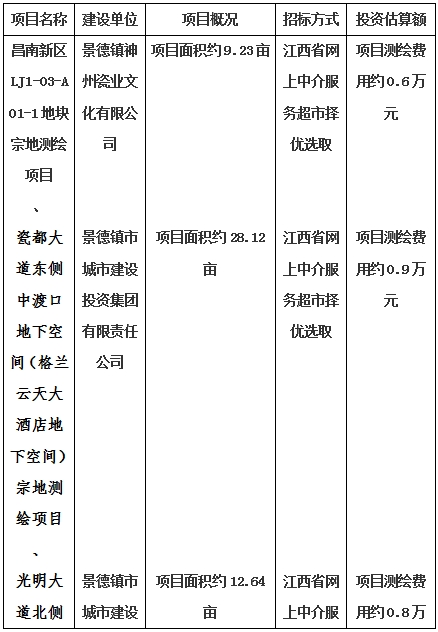景德鎮(zhèn)市昌南新區(qū)LJ1-03-A01-1地塊、瓷都大道東側(cè)中渡口地下空間（格蘭云天大酒店地下空間）、光明大道北側(cè)利民路西側(cè)地下空間（青少年宮地下空間）、規(guī)劃二路北側(cè)地下空間地塊二（加速基地地下空間）、規(guī)劃二路北側(cè)地下空間地塊一（加速基地地下空間）、景德大道南側(cè)天寶橋西側(cè)地塊、景興大道東側(cè)如意路北側(cè)地下空間(社會(huì)公共服務(wù)