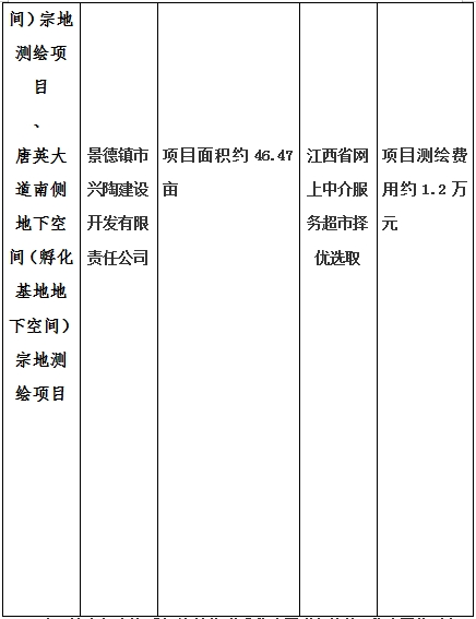 景德鎮(zhèn)市昌南新區(qū)LJ1-03-A01-1地塊、瓷都大道東側(cè)中渡口地下空間（格蘭云天大酒店地下空間）、光明大道北側(cè)利民路西側(cè)地下空間（青少年宮地下空間）、規(guī)劃二路北側(cè)地下空間地塊二（加速基地地下空間）、規(guī)劃二路北側(cè)地下空間地塊一（加速基地地下空間）、景德大道南側(cè)天寶橋西側(cè)地塊、景興大道東側(cè)如意路北側(cè)地下空間(社會(huì)公共服務(wù)