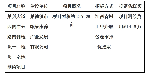 景興大道西側(cè)緯五路南側(cè)地塊一、地塊二宗地