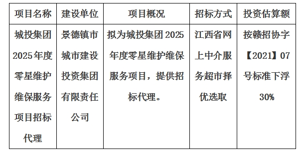 城投集團(tuán)2025年度零星維護(hù)維保服務(wù)項目招標(biāo)代理計劃公告